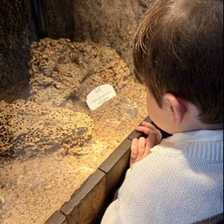 Young Explorer's Fascination