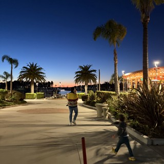 Children Playing at Sunset on Palm-Lined Waterfront Plaza