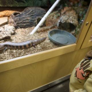 Captivated by Creatures: A Visit to Lawrence Hall of Science