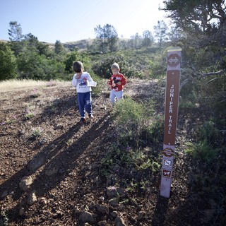 Young Explorers Discover Juniper Trail on Mt. Diablo