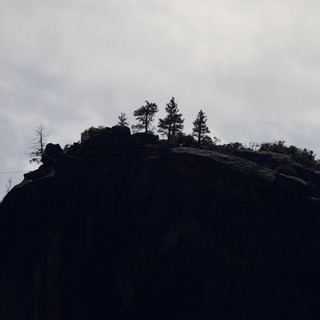 Silhouetted Rocky Summit with Evergreens at Dusk