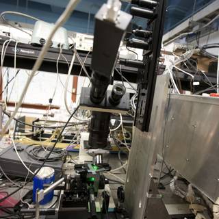 Uncovering the Unseen World: A Microscope in the Lab