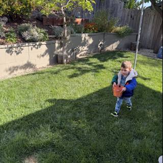 Springtime Adventures in the Backyard