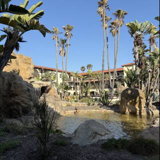 Tranquil Oasis in Oxnard