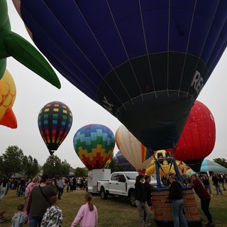 Colorful Hot Air Balloons Fill the Sky at Festival