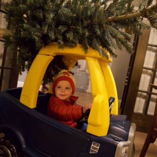 Wesley's Tiny Christmas Adventure