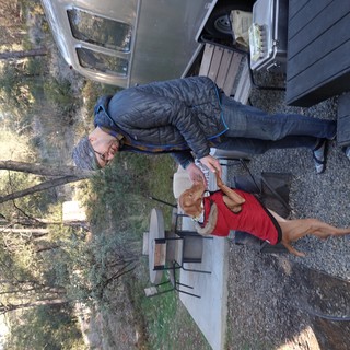 Camping Adventure with Dog and Owner