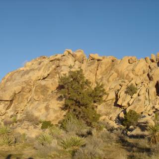 Rocky Outcrops in Joshua Tree National Park