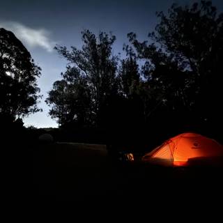 Urban Camping under Starlit Skies