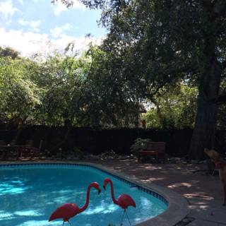 Flamingo Pool Party with Furry Friend