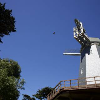 Serenity Meets Mechanism: Blue Sky Over Golden Gate Park Windmills