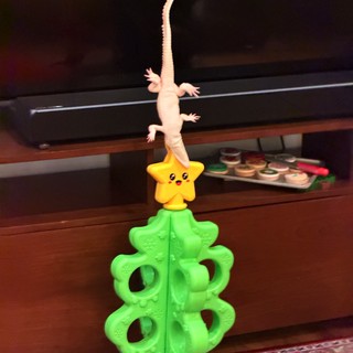 Whimsical Christmas Tree with Gecko Topper