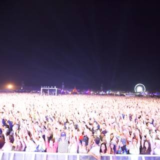 The Electric Crowd at Coachella
