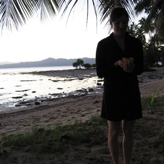 mangrove-islet