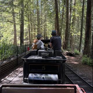 Journey Through the Redwood Forest