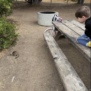 Curious Encounters in Cambria