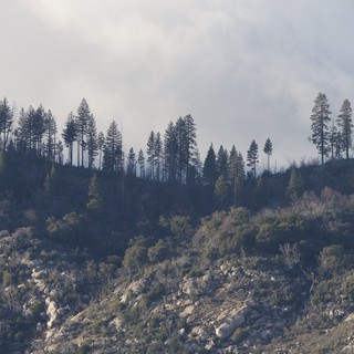 Wildfire Smoke Rising Above Mountain Forest Ridge