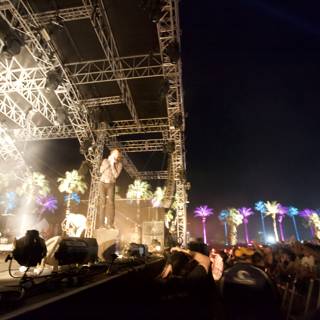 Palm Trees and Music at Coachella 2012