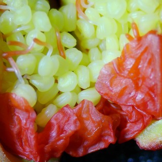 Unripe Pomegranate Seeds and Flesh Revealed