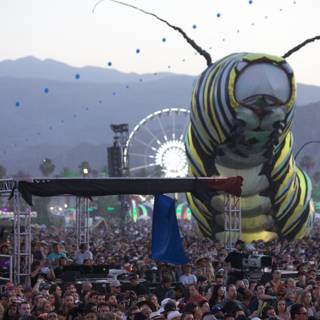 Festival Insect Adventure