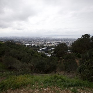 Overcast City View from Hilltop Lookout Point