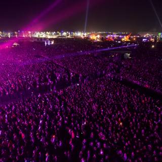 Purple Haze at Coachella