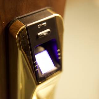The Golden Electronic Door Lock