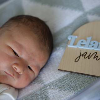 Welcome to the World, Leland