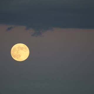 Enchanting November Moonrise