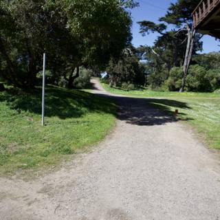 Journey Along the Serene Pathways of Golden Gate Park, 2024