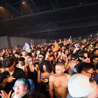 Electric Crowd Surges at Wobbleland 2026 Festival