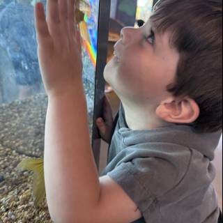 Mesmerized by the Deep