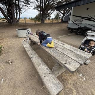 **Curious Explorations in Cambria**