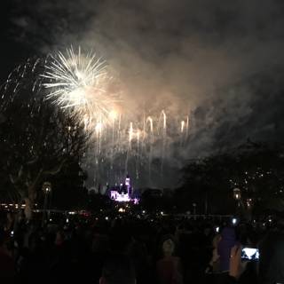 Spectacular Disneyland Fireworks