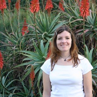 red-flowers
