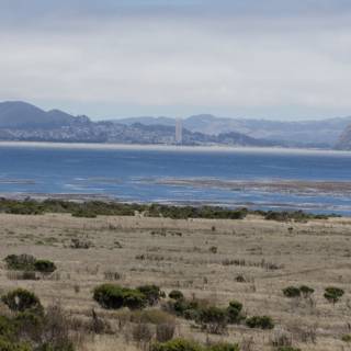 Coastal Serenity in Cayucos