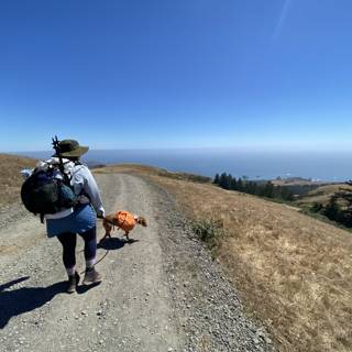Woman and Dog Trekking Through Californian Hills