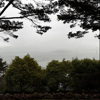 Serene Bay View from Coit Tower Park Bench