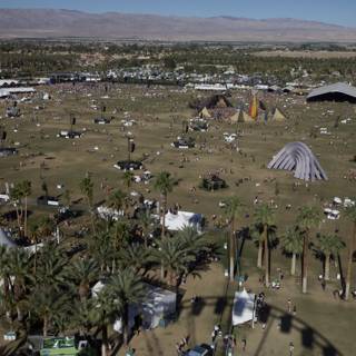 The Vibrant Coachella Festival
