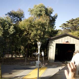 Waving Man at the SF Zoo - November 2023