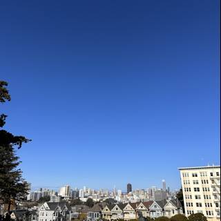Sunny Afternoon at Alamo Square