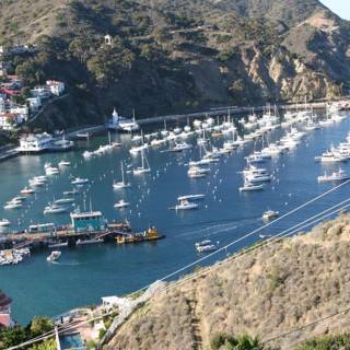 Peaceful harbor scene