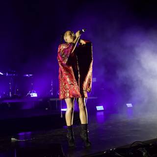 Red Dress Singer Shines on Stage