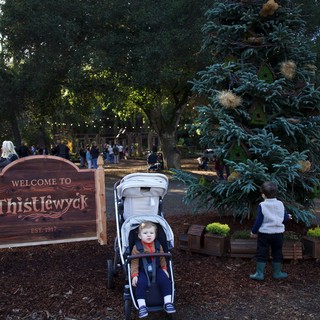 Thistlewyck Historic Venue or Garden Center