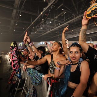 Euphoric Crowd Energy at Wobbleland 2026 Festival