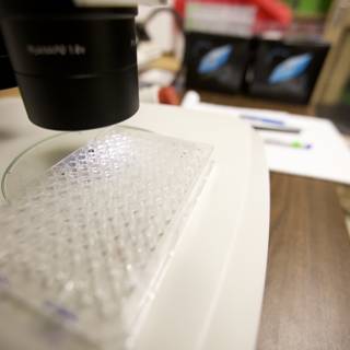 Examining Cells Under the Microscope