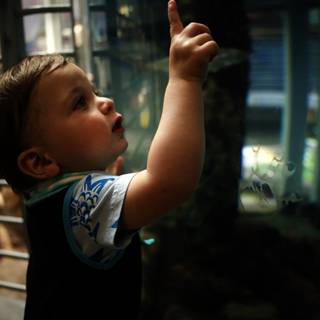 Marvel at Marine Life - Young Explorer at the California Academy of Sciences