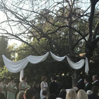 A Dreamy Wedding Under the Tree