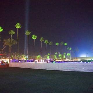 Moonlit Palms and Festival Lights at Coachella 2024