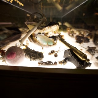 Illuminated Display of Ancient Artifacts and Natural Specimens